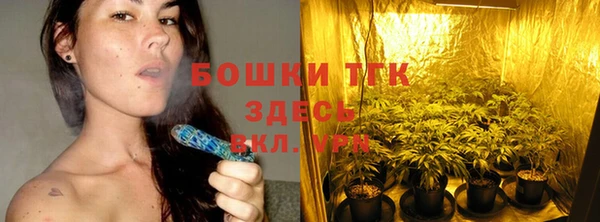 спайс Белокуриха